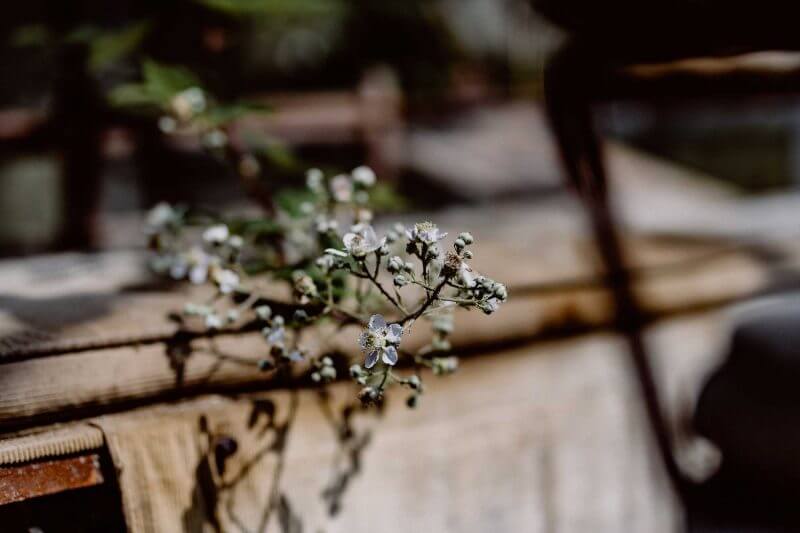 003AgenturTraumhochzeit_01_Juni_2018