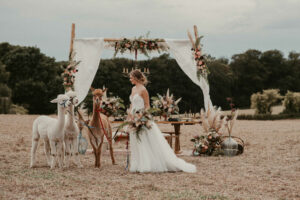 264_STYLED_SHOOT_Alpakas_190814_bea